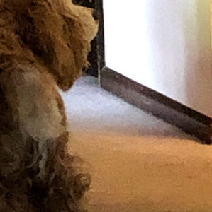 Meet your Posher, Barbara